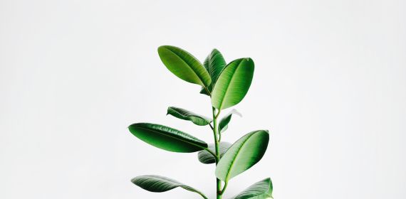 Advisory Industry - Potential to Grow