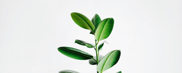 Advisory Industry - Potential to Grow
